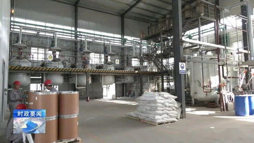 牢記囑托 乘勢(shì)而上 李哲調(diào)研城西機(jī)電化工產(chǎn)業(yè)集聚區(qū)，強(qiáng)調(diào)安全高效推動(dòng)化工生產(chǎn)